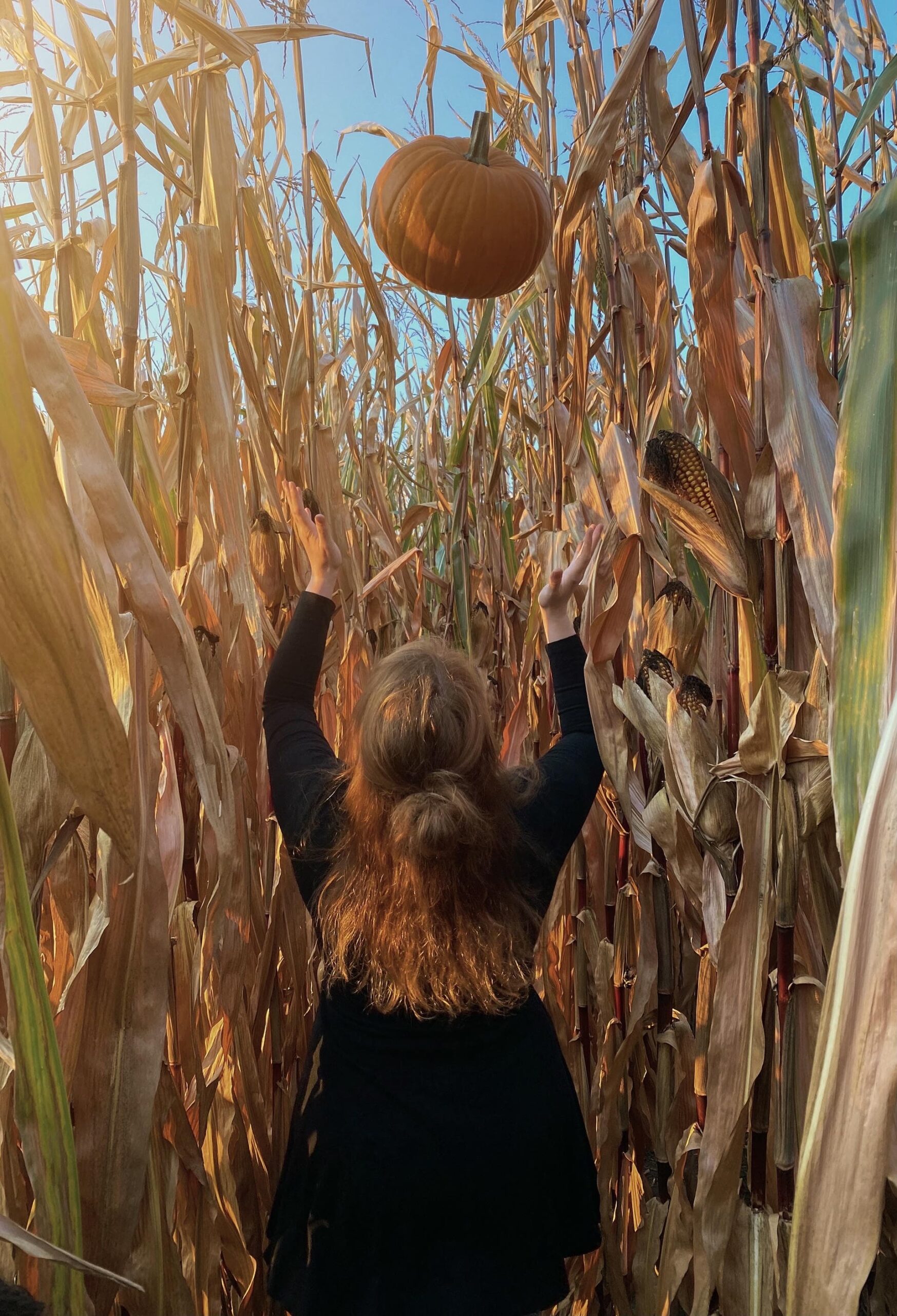 fall pumpkin toss