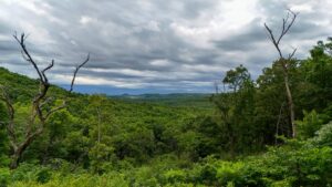 Chadwick Area View