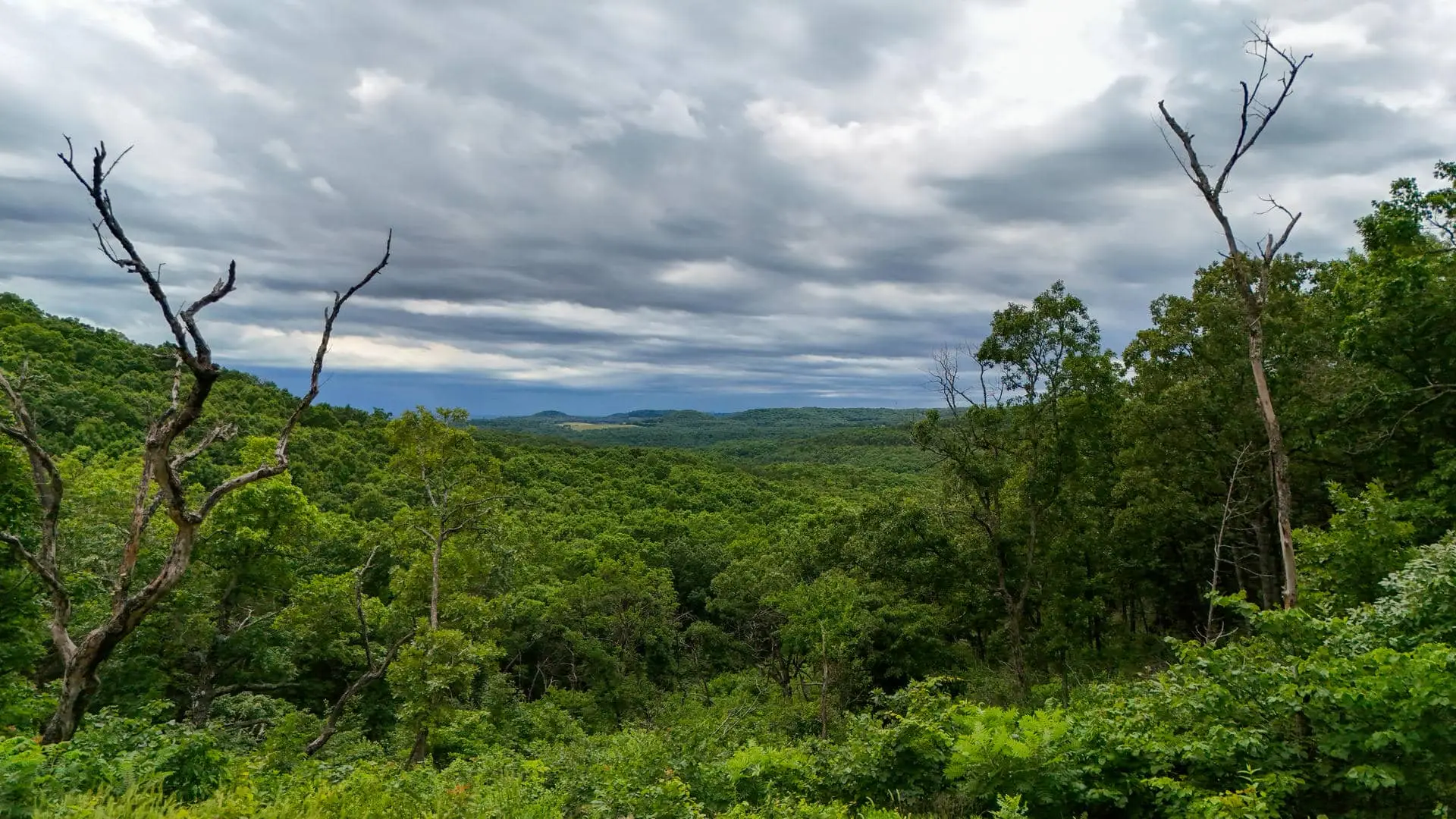 Chadwick Area View