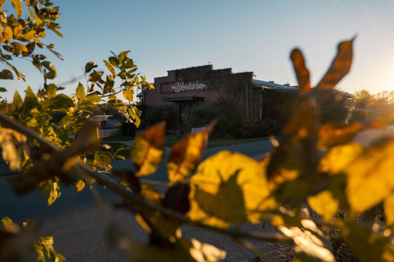 4K Ultra HD JPG 2025 Finley Accomodations TheWorkship Fall 9 1 768x512 1