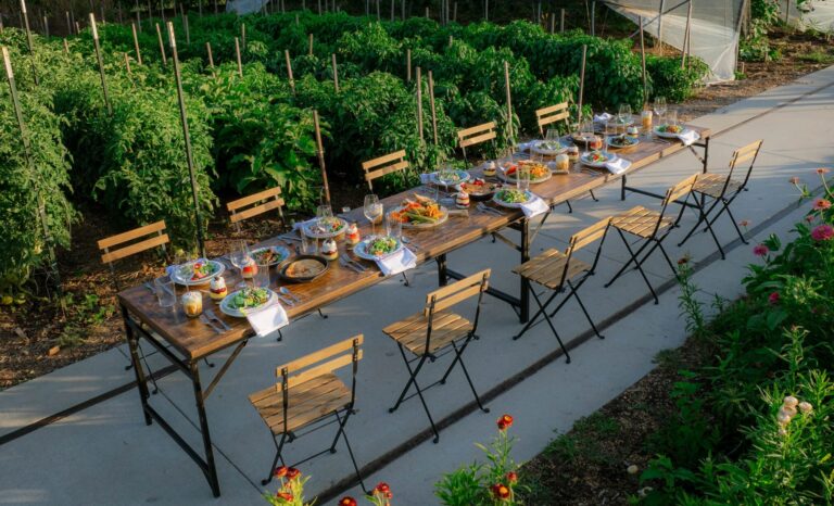 4K Ultra HD JPG 2025 Finley Dining TheFarm 7 13 scaled e1787155382632 768x466 1